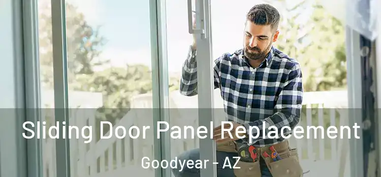  Sliding Door Panel Replacement Goodyear - AZ